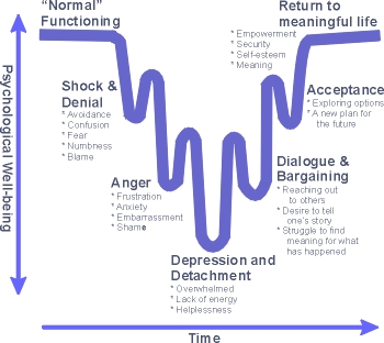 The 5 stages of grief